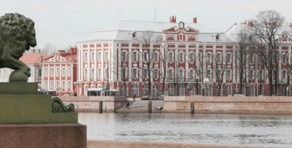 Украинцы массово поступают в петербургские вузы