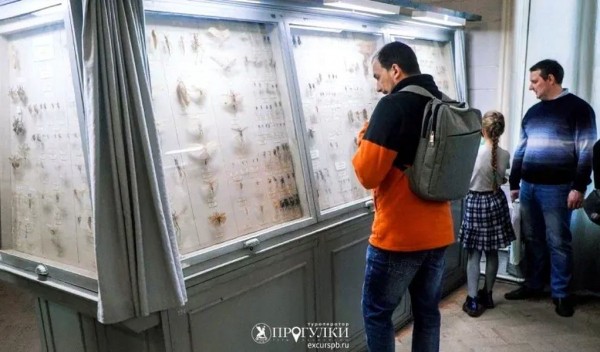 Экскурсия в Зоологическом музее «Гиганты и карлики» Экскурсия в Зоологическом музее «Гиганты и карлики»