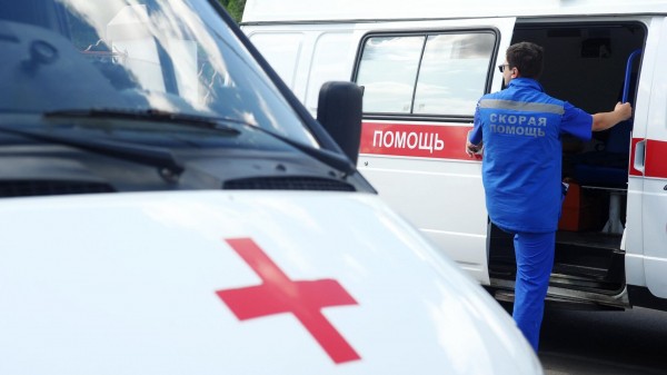 В Петербурге собака породы бурбуль прокусила девятилетнему мальчику лицо и шею