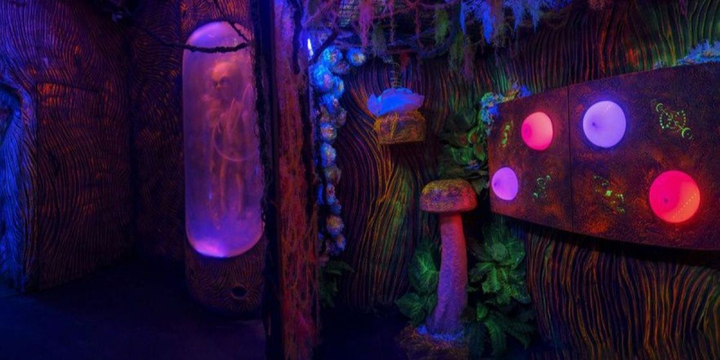 Парк развлечений Smile Park: Дом Великана и ещё 13 уникальных аттракционов
