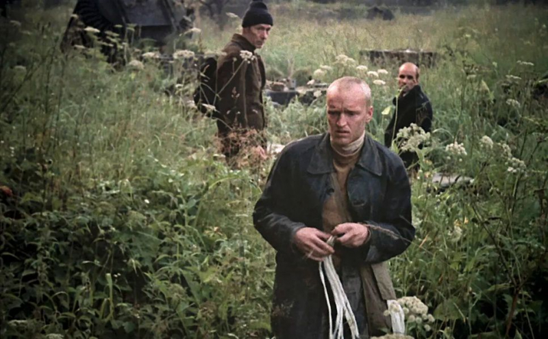 Показ фильма &laquo;Сталкер&raquo; в &laquo;Авроре&raquo;