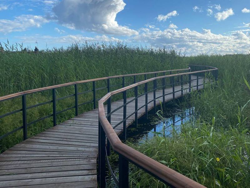 Летние события в Петербурге, которые стоит посетить