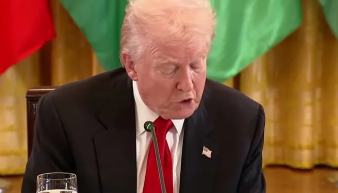 Танцующий Трамп напомнил дизайнеру Лебедеву Ельцина