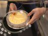 Новогодние каникулы в Музее истории денег