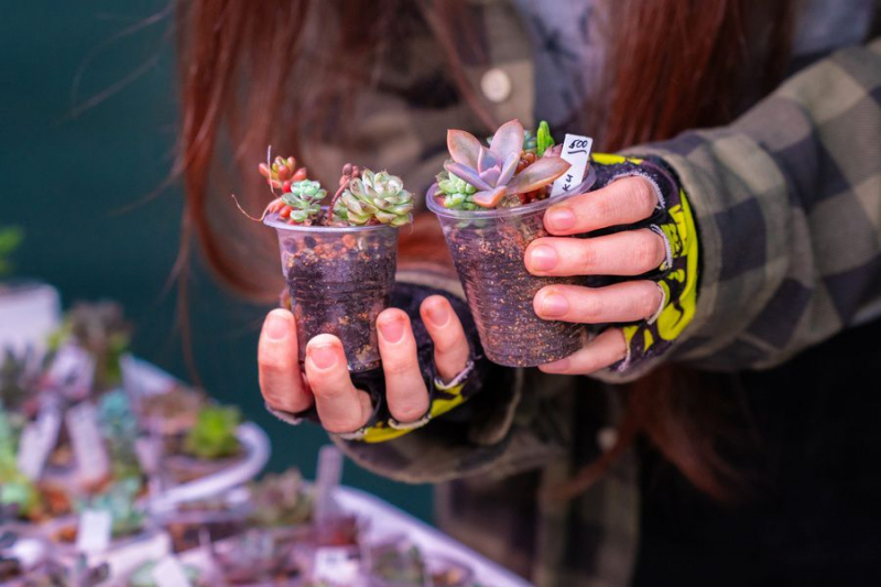 Flora Fest