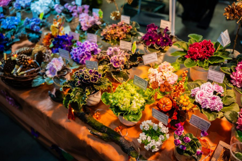 Flora Fest