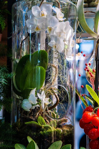 Flora Fest