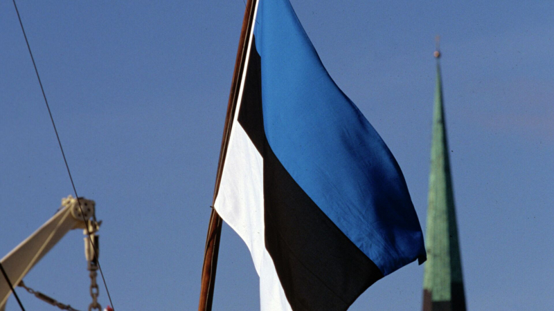 Эстония задержала контейнеровоз, якобы следовавший в Россию, пишут СМИ