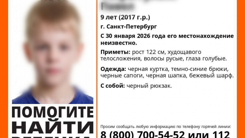 Убийство мальчика Паши в Петербурге, подробности