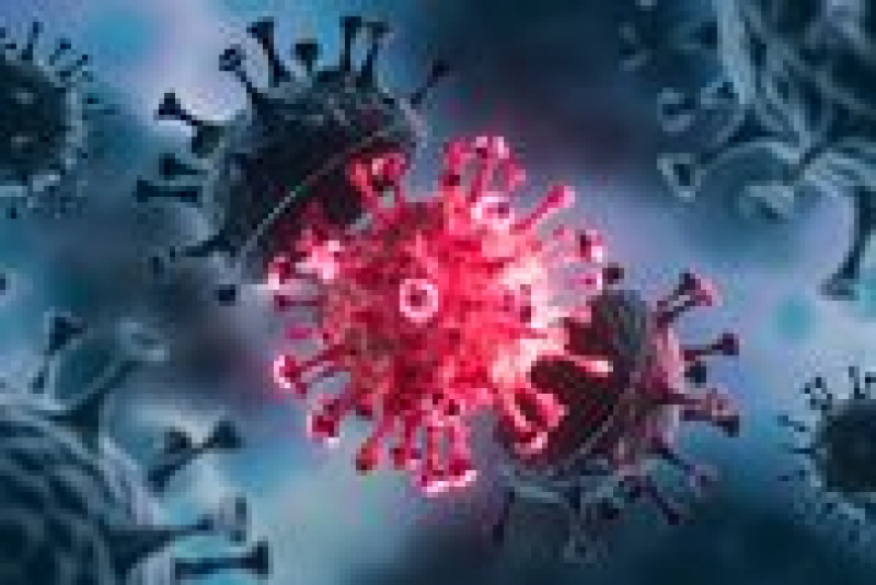 Что скрывает история вируса H1N1 1977 года