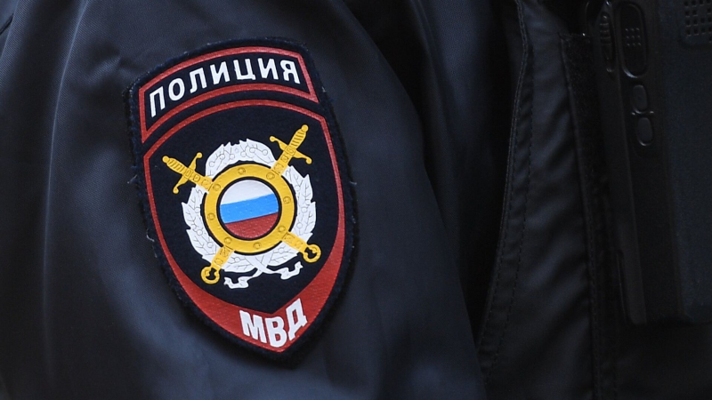 В Петербурге задержали девушку фигуранта дела об убийстве юноши