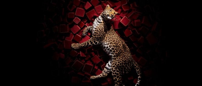 Лекция «Cartier: история роскоши» в Загородном клубе «Репино-Ленинское»