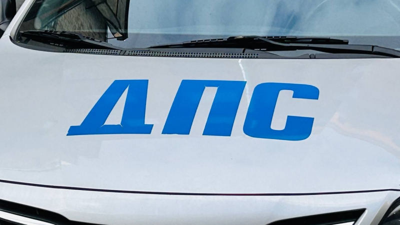 В чем подозревают пьяного водителя "КамАЗа" после нападения на инспектора ДПС в Ленобласти?