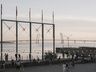 Фестиваль-пристройство животных &laquo;Тот самый хвост&raquo;