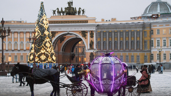 После инцидента с побежавшими в толпу лошадьми в центре Петербурга завели дело